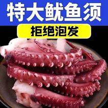 【冷链运输】脆口鱿鱼须新鲜冷冻大章鱼须即食刺身八爪鲜活