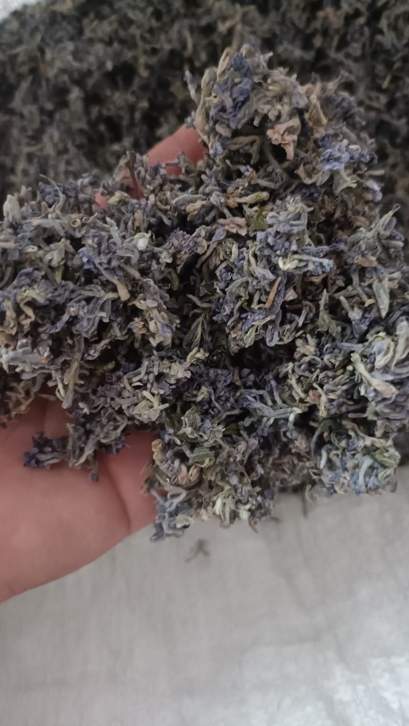 芫花干货，头疼花