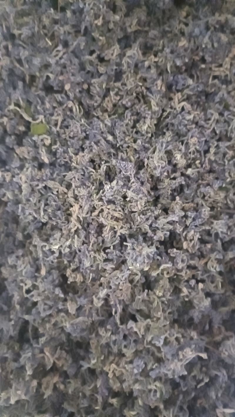 芫花干货，头疼花