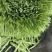 【推荐】精品芸豆大量上市中产地直发可供商超批发市场量大从优