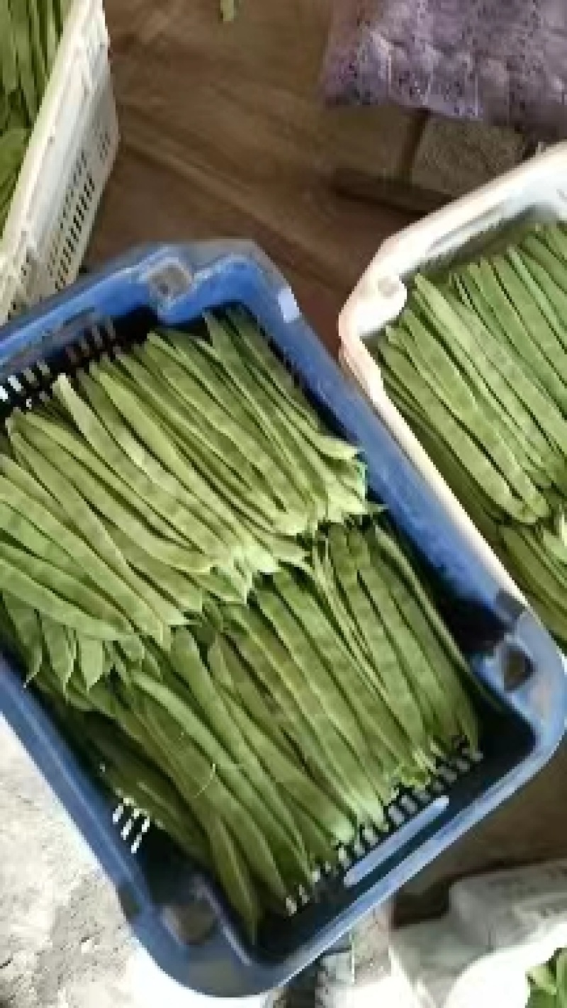 【推荐】精品芸豆大量上市中产地直发可供商超批发市场量大从优