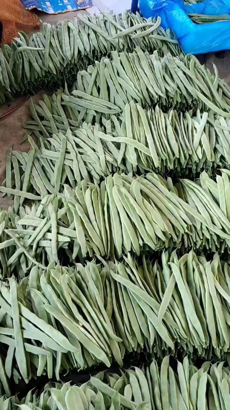 【推荐】精品芸豆大量上市中产地直发可供商超批发市场量大从优