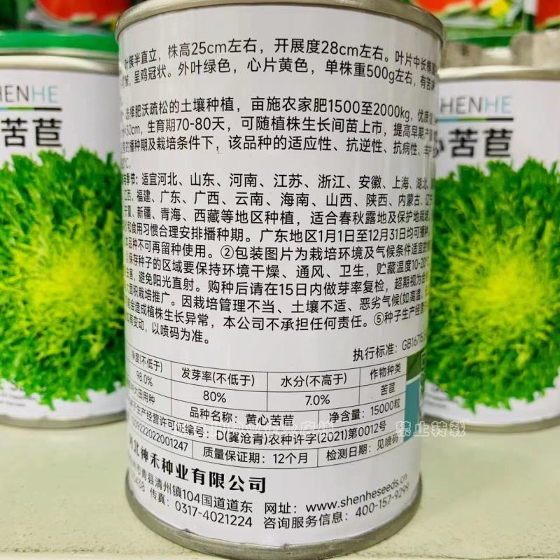 神禾黄心苦苣种子呈鸡冠状，有苦味品质优生食蔬菜苦菊种子
