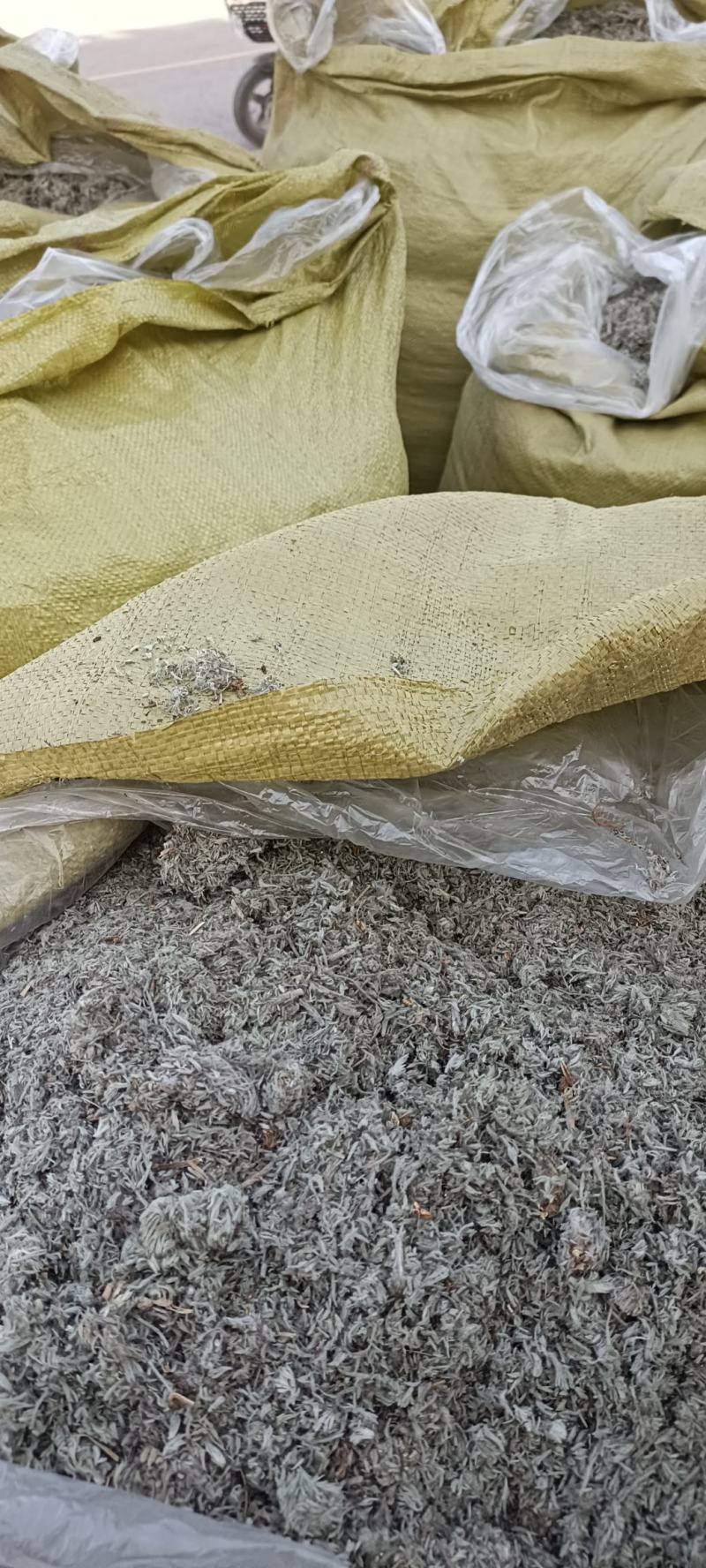 绵茵陈，产地河南，、货源充足，全国发货，持在线下单支。