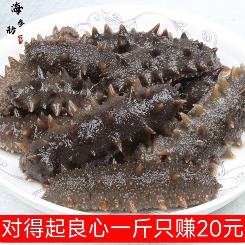 即食海参大连刺参辽刺参新鲜海参非干货单个装速食独立包