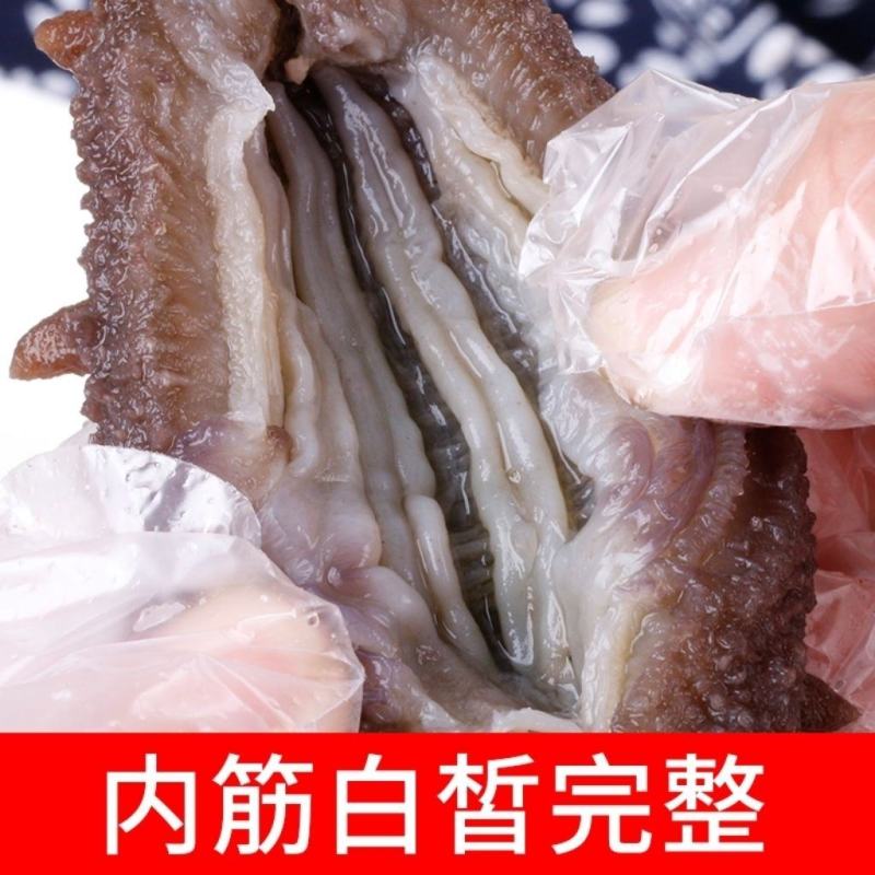 即食海参大连刺参辽刺参新鲜海参非干货单个装速食独立包
