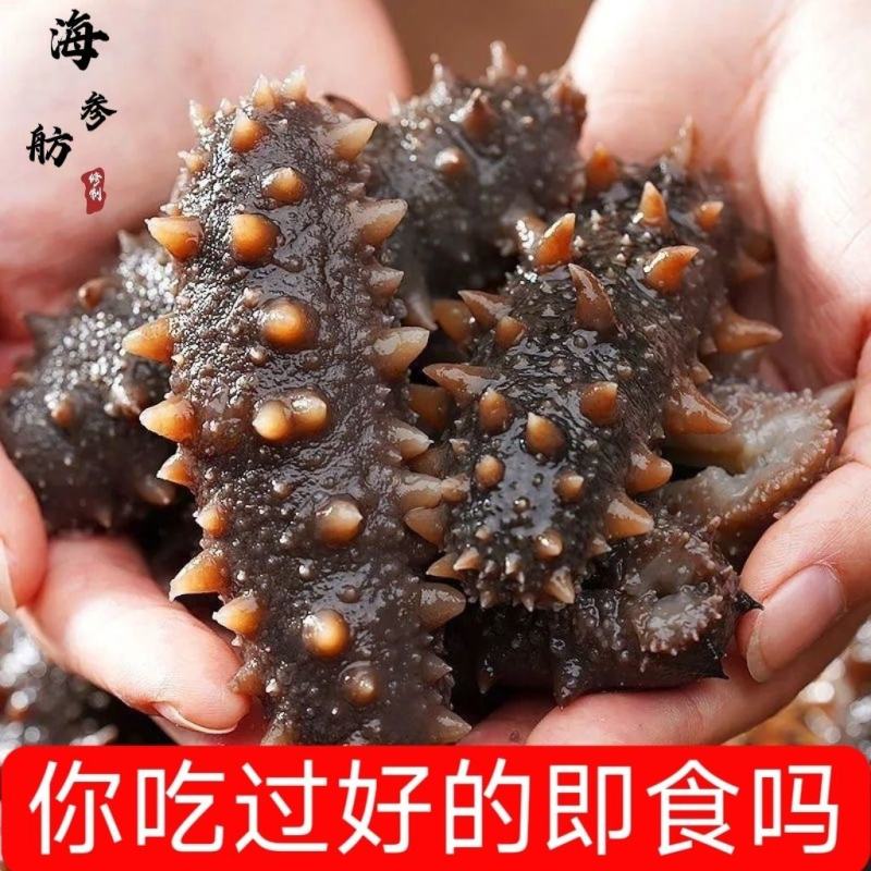 即食海参大连刺参辽刺参新鲜海参非干货单个装速食独立包