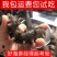 即食海参大连刺参辽刺参新鲜海参非干货单个装速食独立包