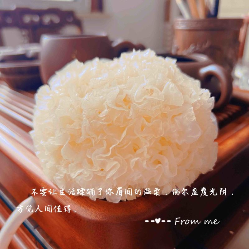 未出耳银耳菌棒银耳菌包精品银耳包可以到基地考察参观