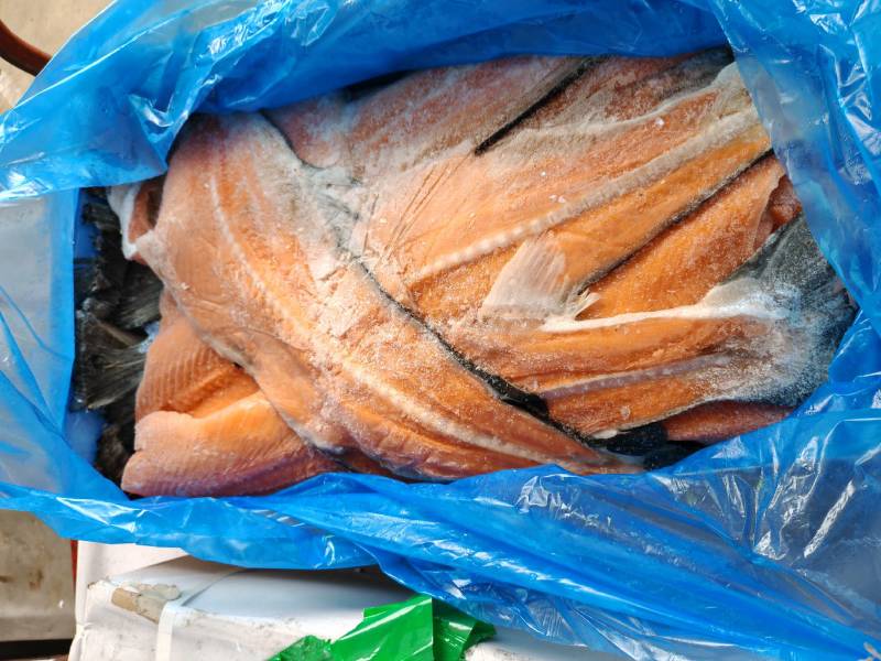 三文鱼骨19公斤箱量大询价