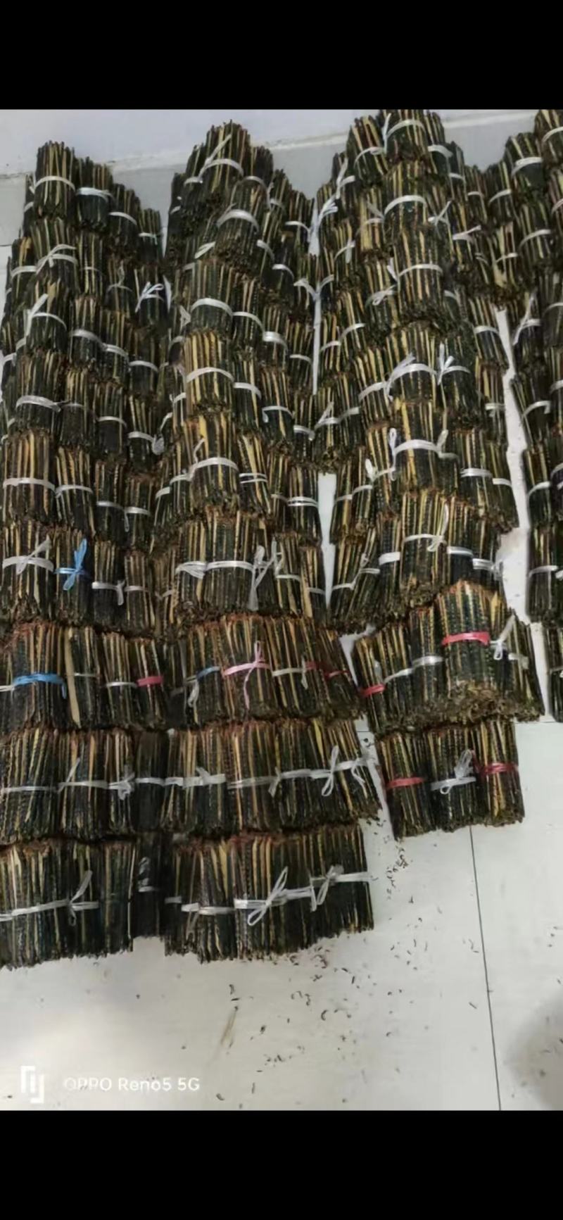 【蜈蚣】南阳本地红头蜈蚣软条干货蜈蚣药用价值高