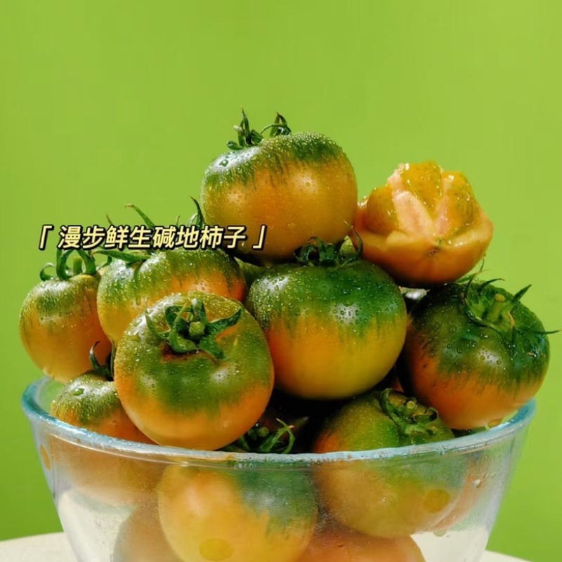 盘锦特产碱地柿子+草莓柿子+铁皮柿子