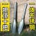 德国进口种花养花盆栽工具园艺小铲子花卉除草野菜刀挖土铁铲