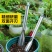 德国进口种花养花盆栽工具园艺小铲子花卉除草野菜刀挖土铁铲