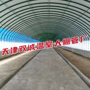 新型养殖大棚