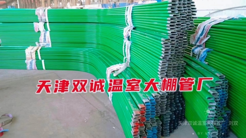 新型养殖大棚