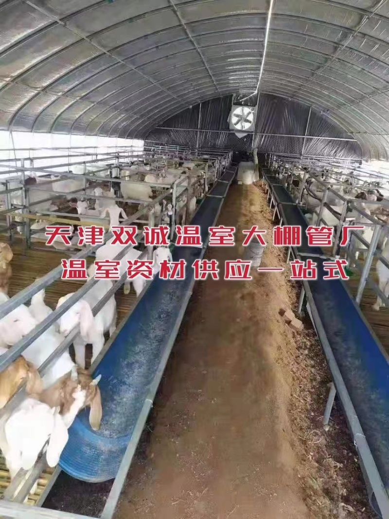 新型养殖大棚