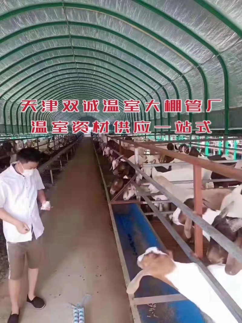 新型养殖大棚