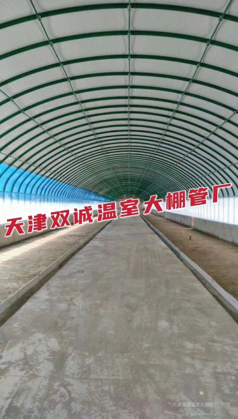 新型养殖大棚