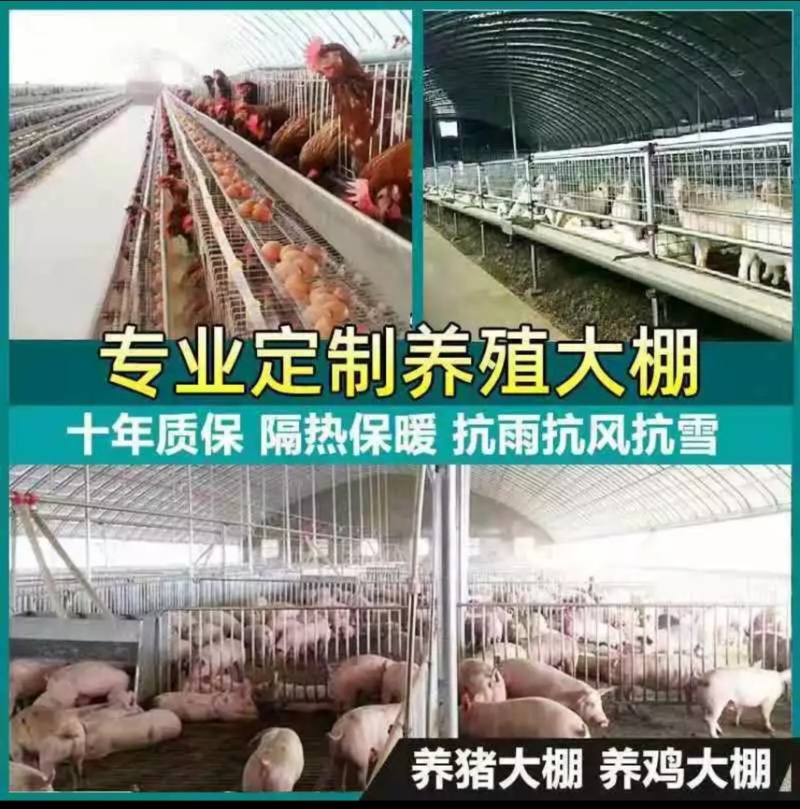 新型养殖大棚