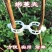 扶蔓固定夹绑蔓夹固定卡扣葡萄藤固定扣藤蔓绿植大棚秧苗固定