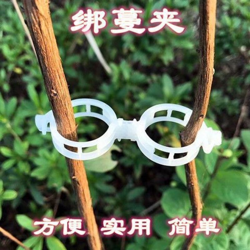 扶蔓固定夹绑蔓夹固定卡扣葡萄藤固定扣藤蔓绿植大棚秧苗固定