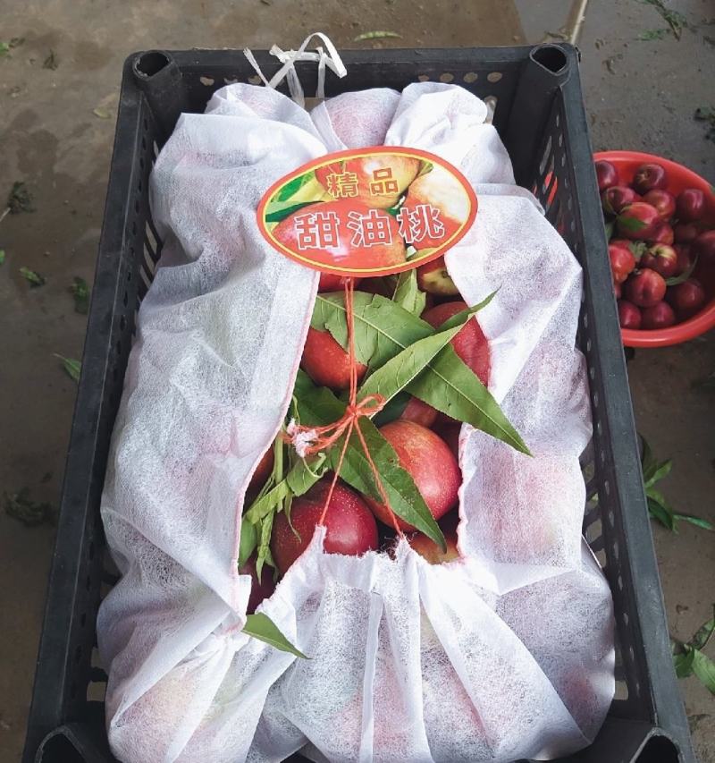 桃油桃中油油桃产地直发保质保量代发全国可包邮