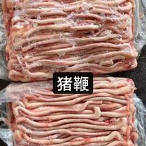 猪鞭新鲜冷冻餐馆烧烤食材速冻猪茎一手货源价格