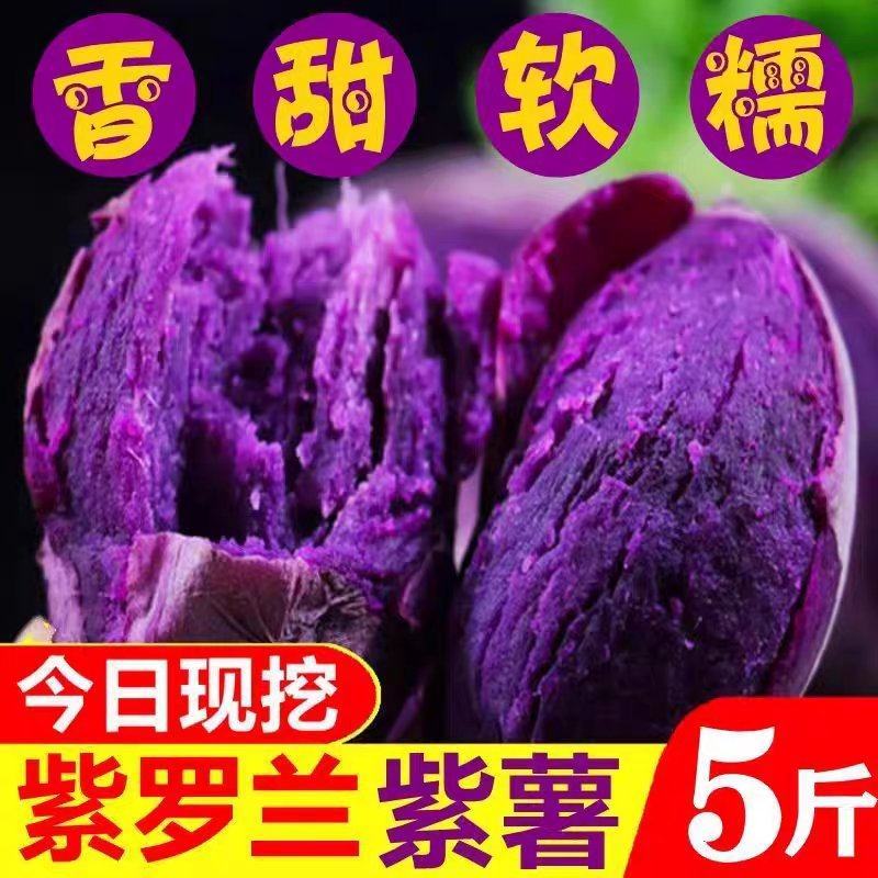 【紫薯】广西紫薯香甜软糯皮薄现挖紫罗兰紫薯产地直发包邮