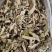 【牛商推荐】大量供应野生艾叶干艾草陈艾产地现货直发欢迎下单