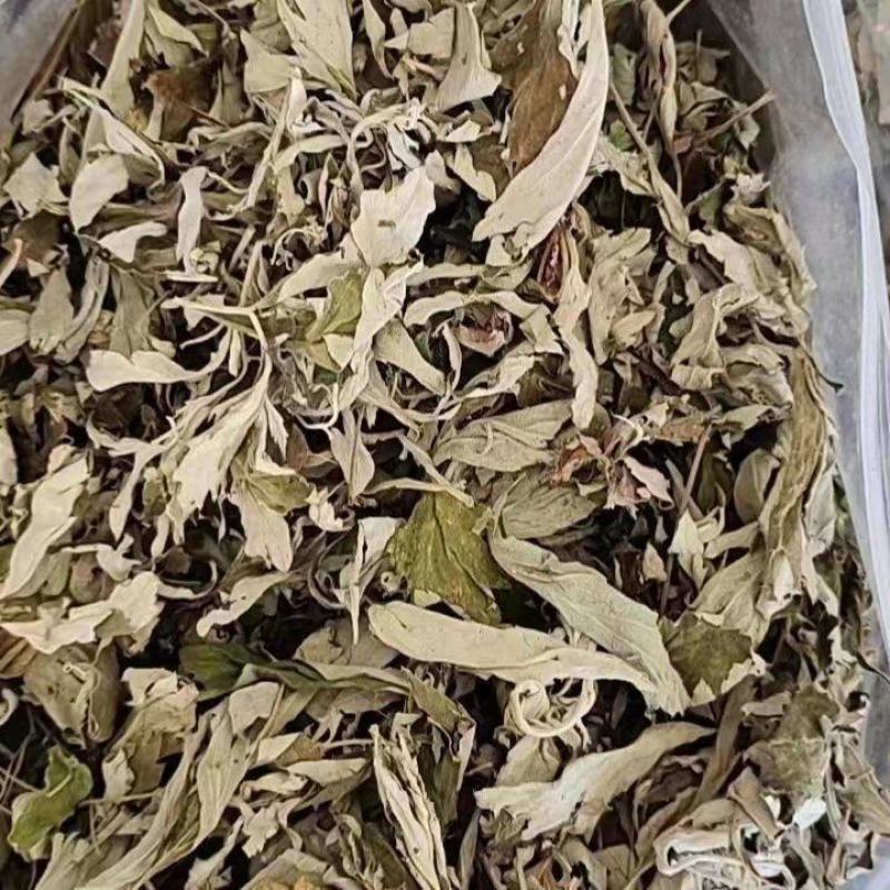 【牛商推荐】大量供应野生艾叶干艾草陈艾产地现货直发欢迎下单