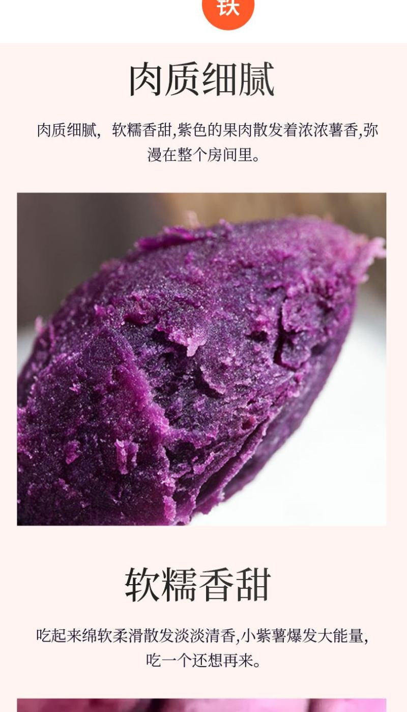 【紫薯】广西紫薯香甜软糯皮薄现挖紫罗兰紫薯产地直发包邮