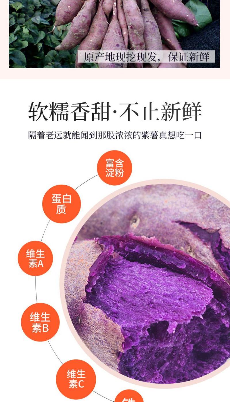 【紫薯】广西紫薯香甜软糯皮薄现挖紫罗兰紫薯产地直发包邮