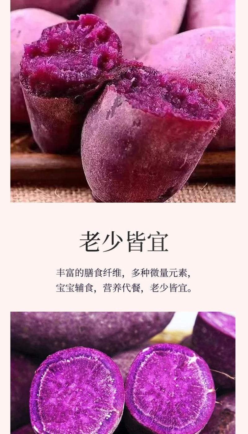 【紫薯】广西紫薯香甜软糯皮薄现挖紫罗兰紫薯产地直发包邮