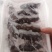 鲜食即食海参