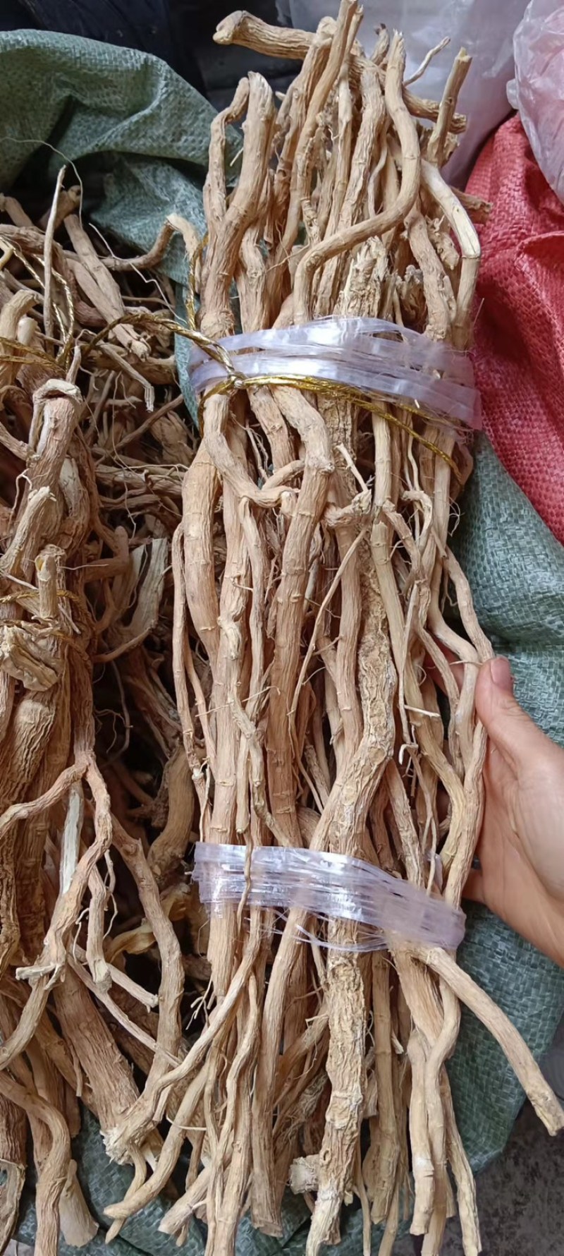 中药材黄花倒水莲