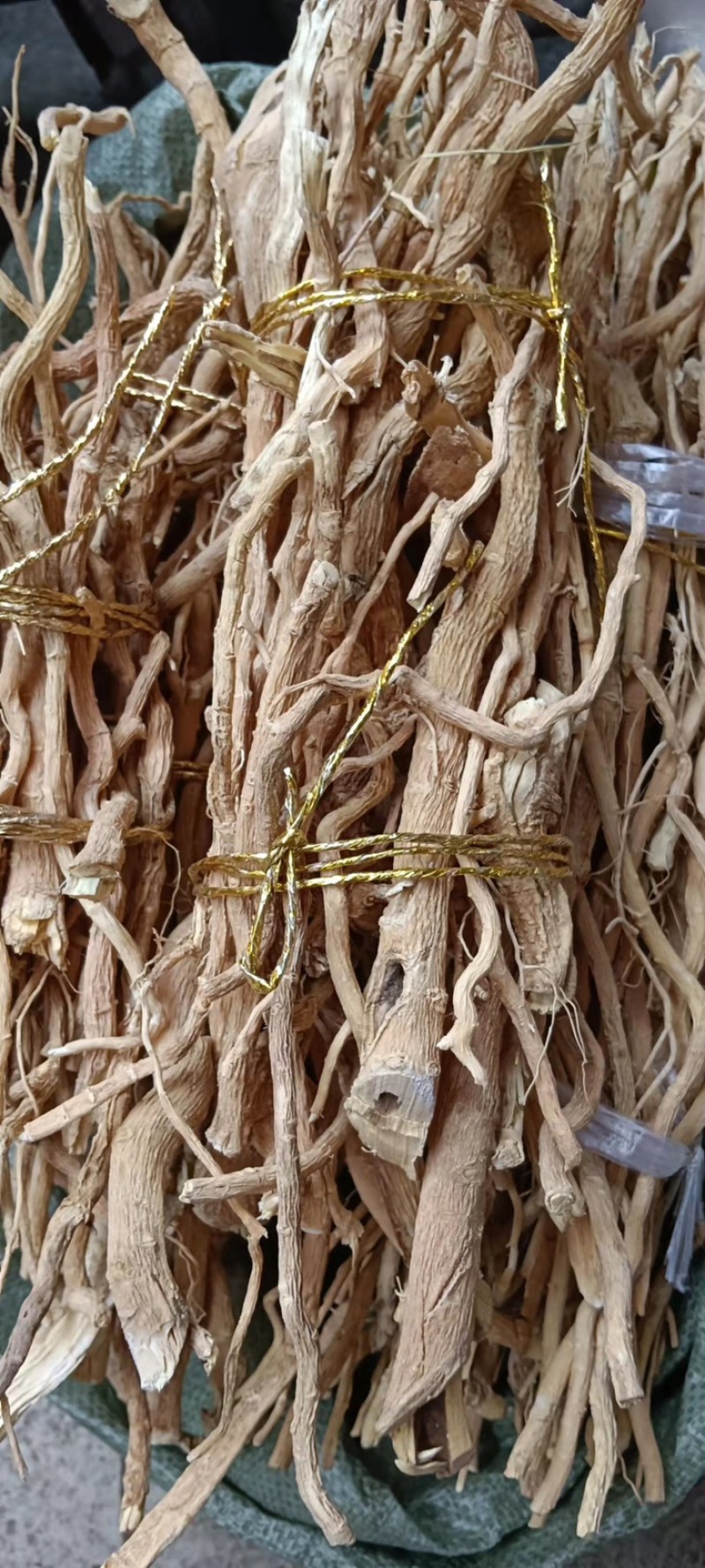 中药材黄花倒水莲
