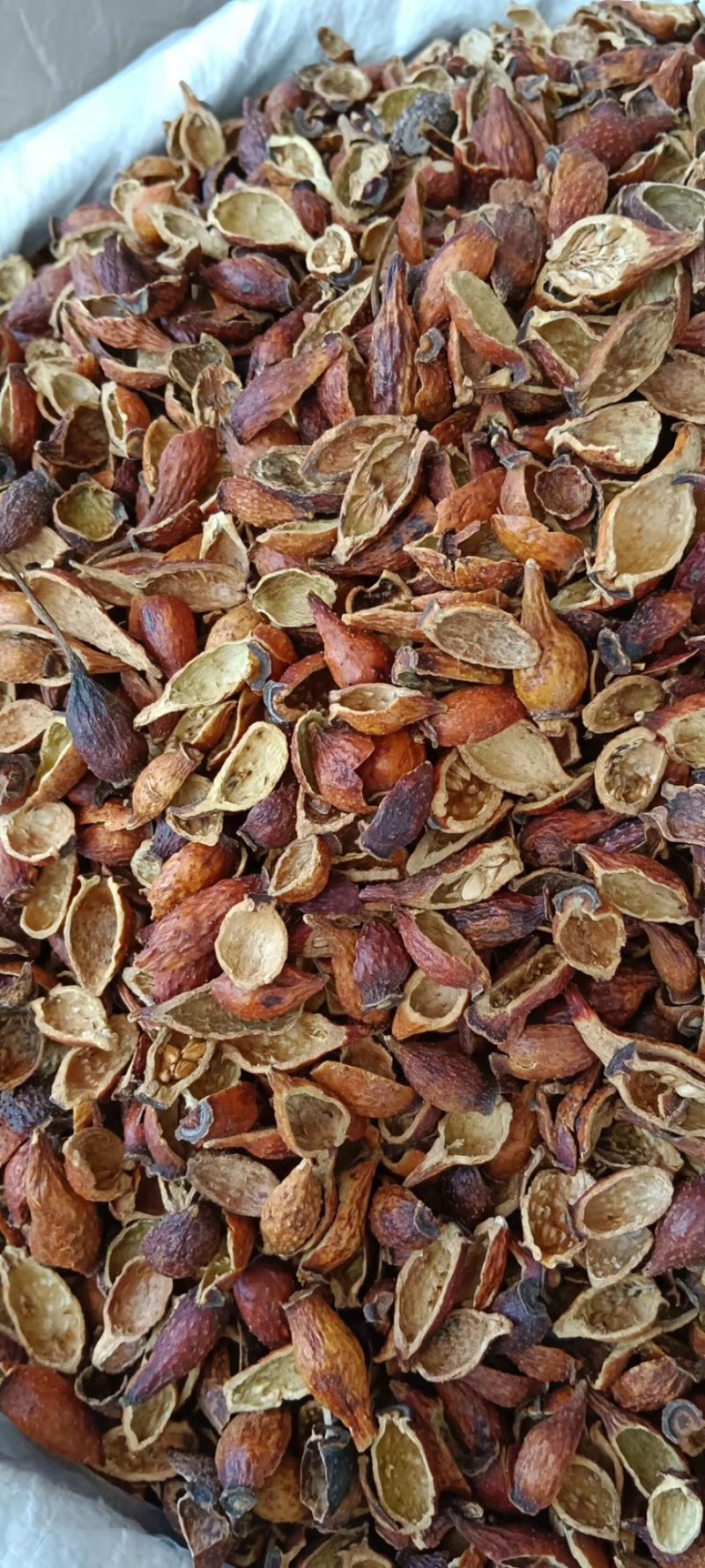 中药材金樱子