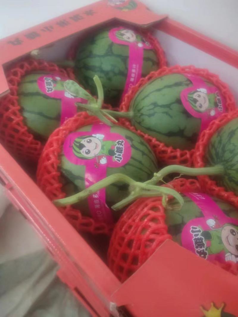 礼品小西瓜