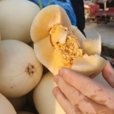 红金密