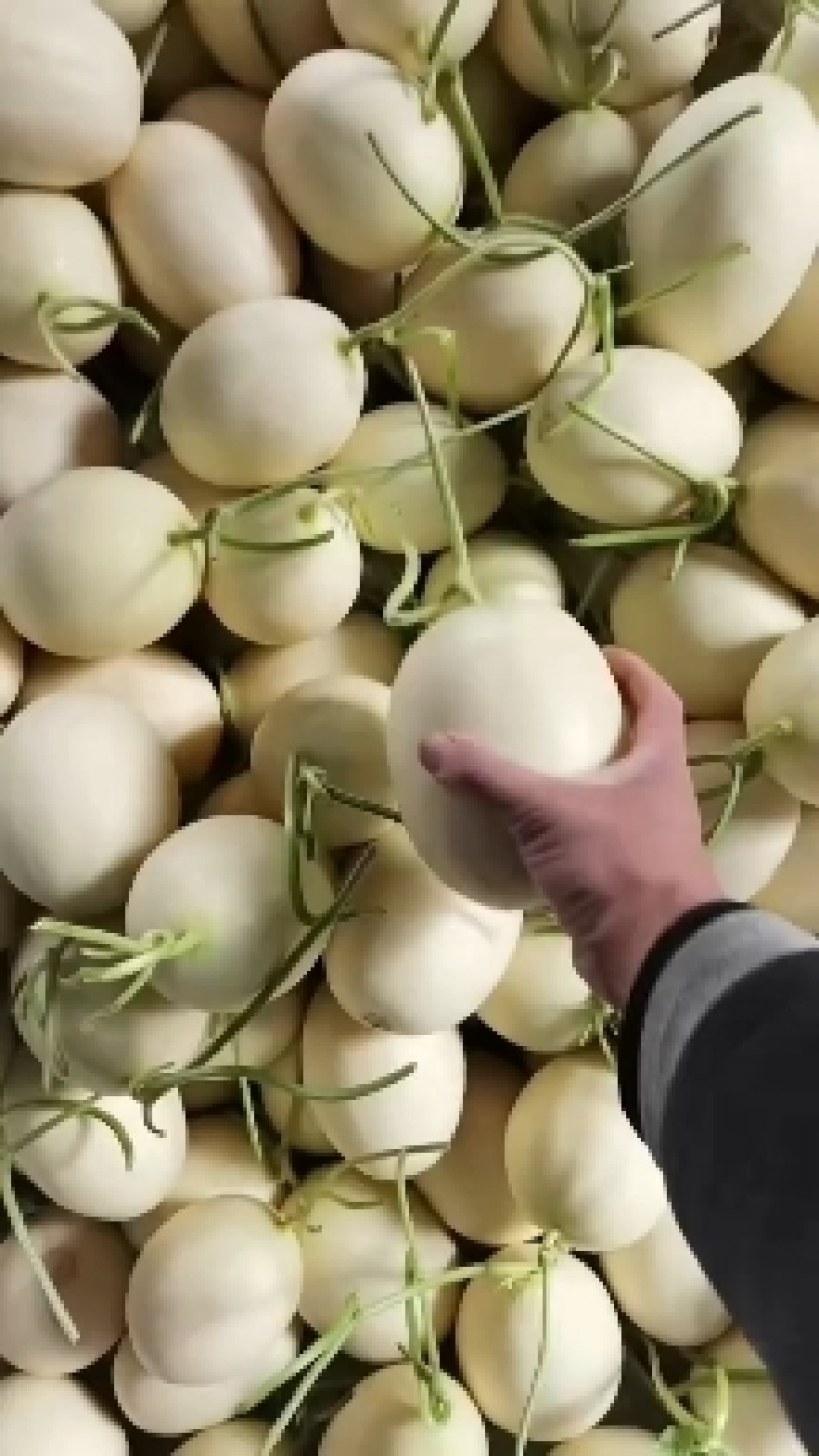 红金密