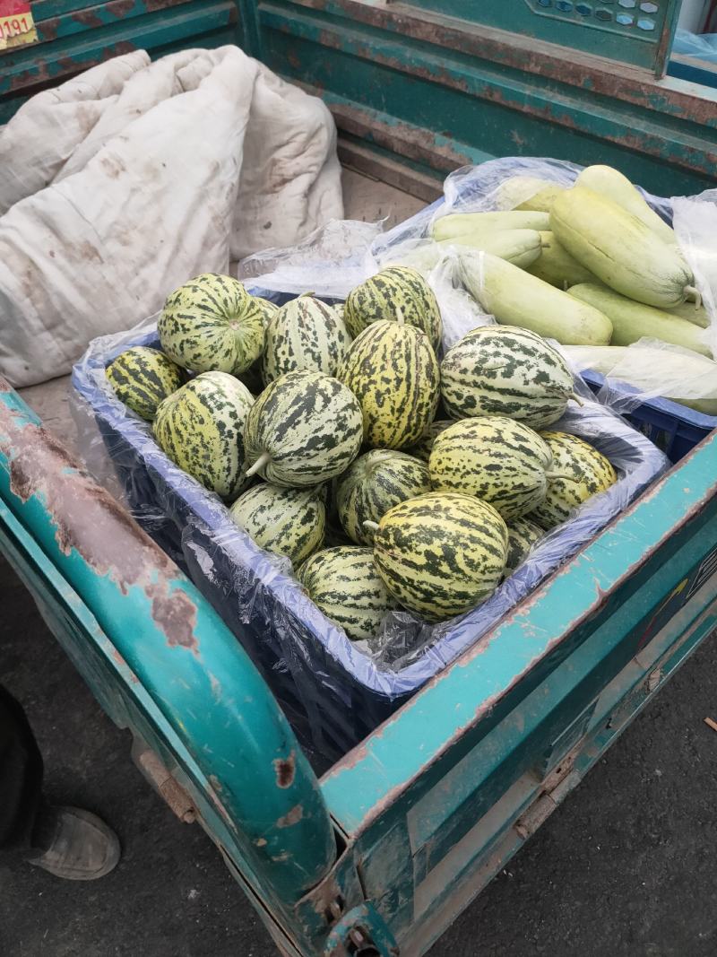 本地各种甜瓜大量上市中，口感甜个头大，