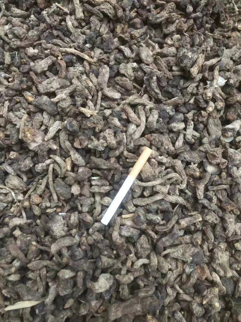 焦作产地地黄。