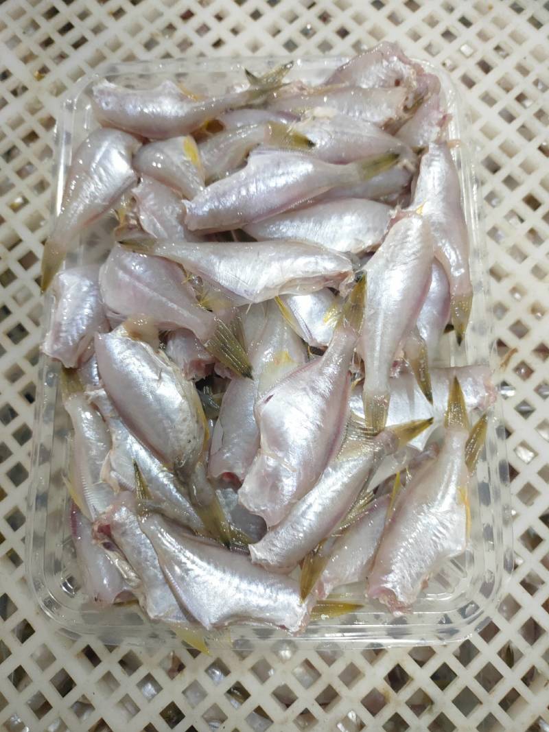 耗儿鱼、马面鱼、三去原汁原味、一斤盒装单冻箱装