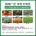 柑橘杀红蜘蛛专用药强效果树除杀螨农用高浓度杀成螨若卵增效