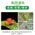 柑橘杀红蜘蛛专用药强效果树除杀螨农用高浓度杀成螨若卵增效