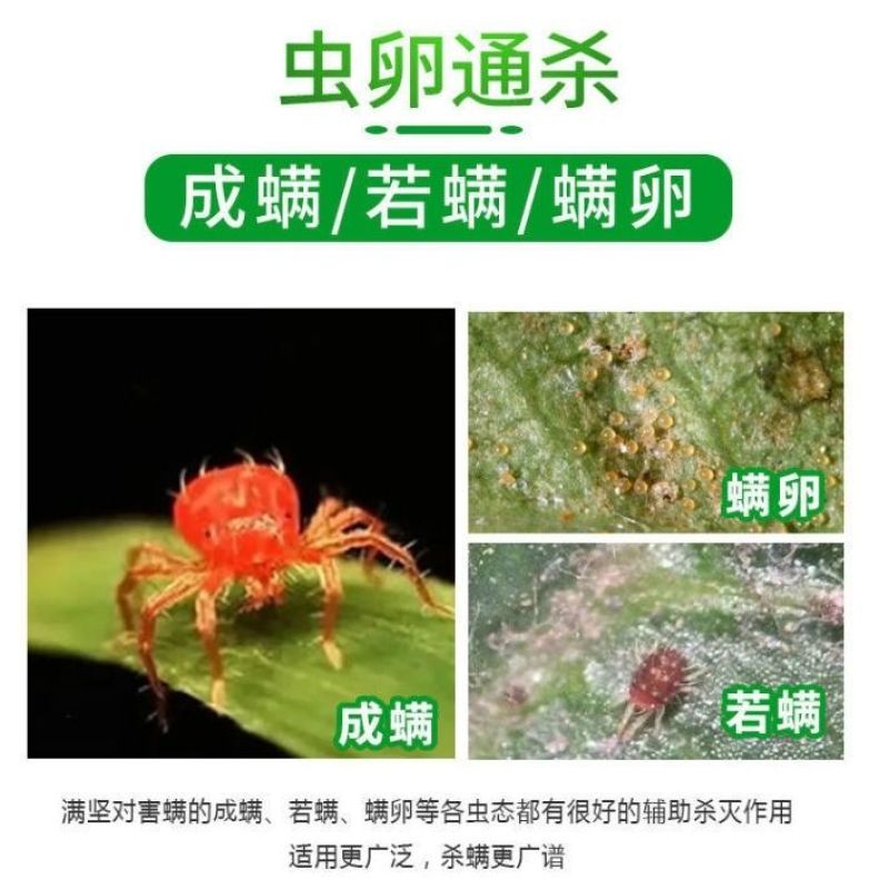 柑橘杀红蜘蛛专用药强效果树除杀螨农用高浓度杀成螨若卵增效