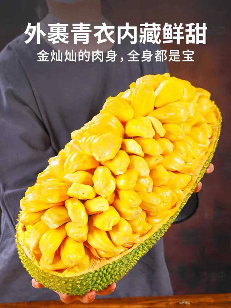海南精品黄肉菠萝蜜新鲜采摘支持一件代发欢迎洽谈