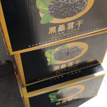 黑桑葚干