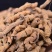巴戟天巴戟肉【鲁赣药材】现货供应中药材批发